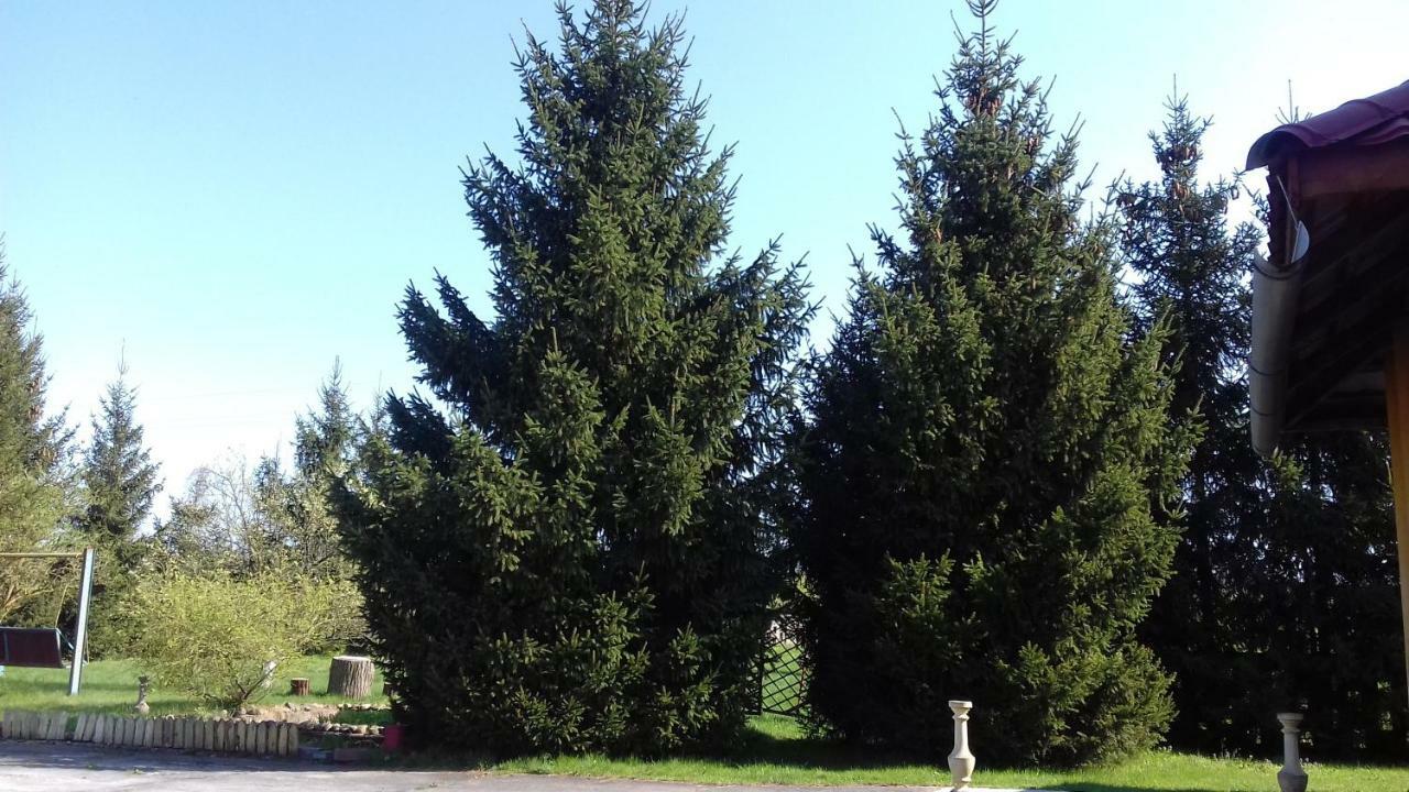 Dom Na Ludowo W Brzeznicy Apartamento Brzeznica  Exterior foto